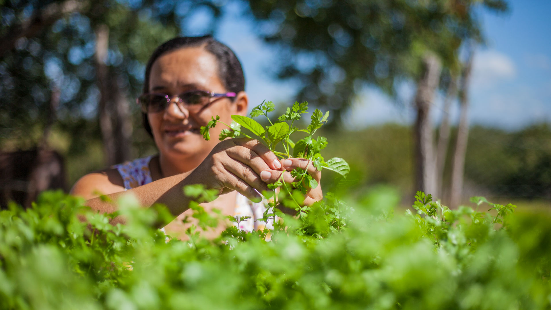 Feira do Espaço Agroecológico Antônio Conselheiro celebra 8 anos de existência em Quixeramobim (CE)