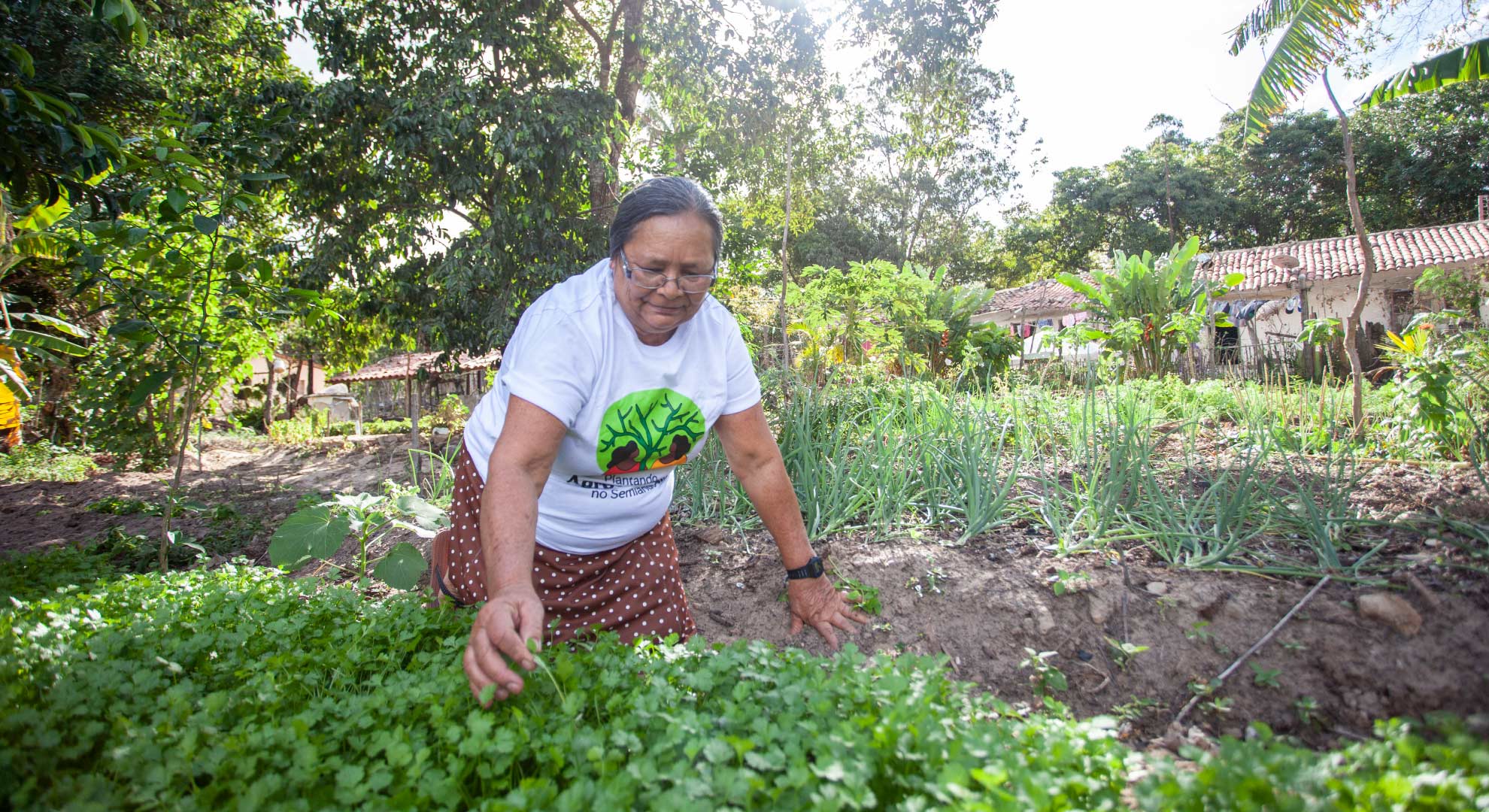 Saneamento Ecológico Rural2