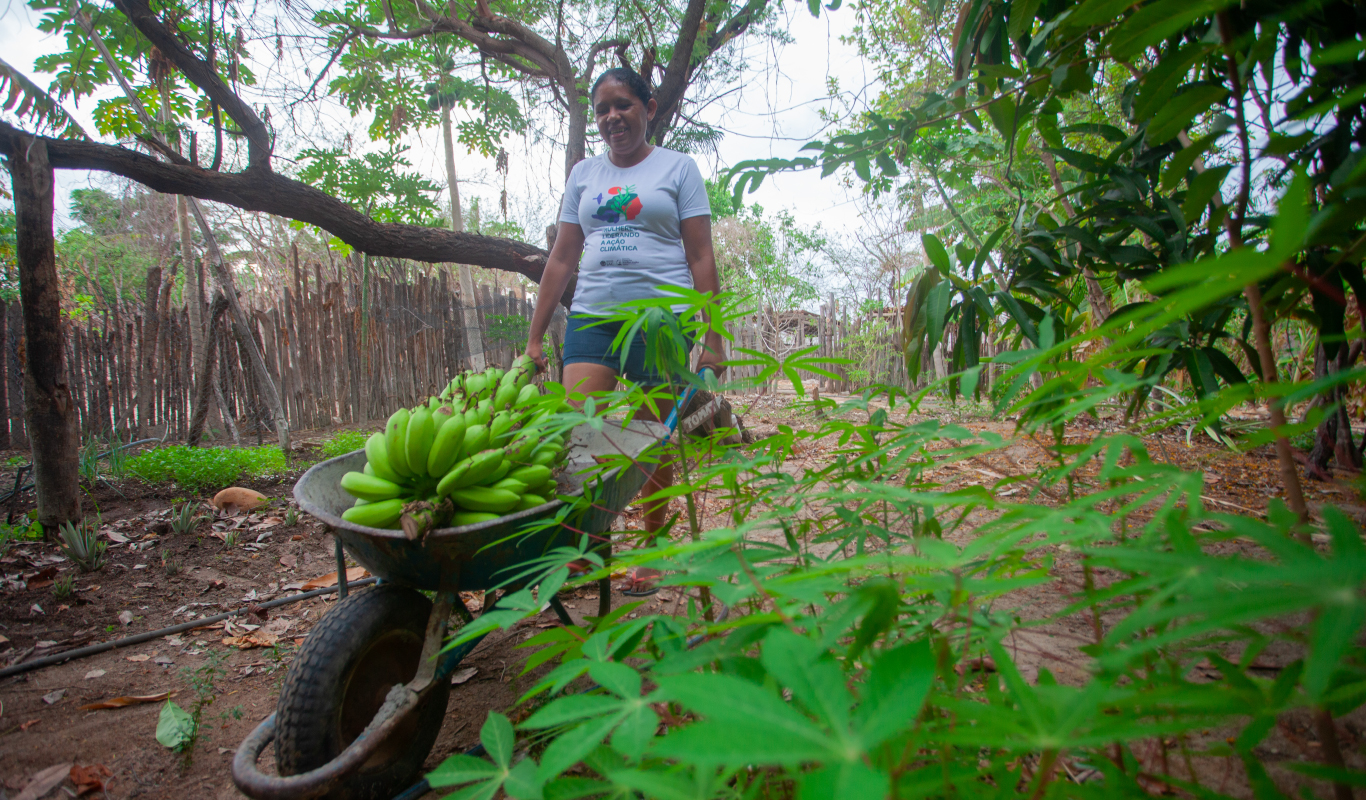IAC realizará em Quixeramobim, Ceará, encontro para debater estratégias de convivência com o Semiárido