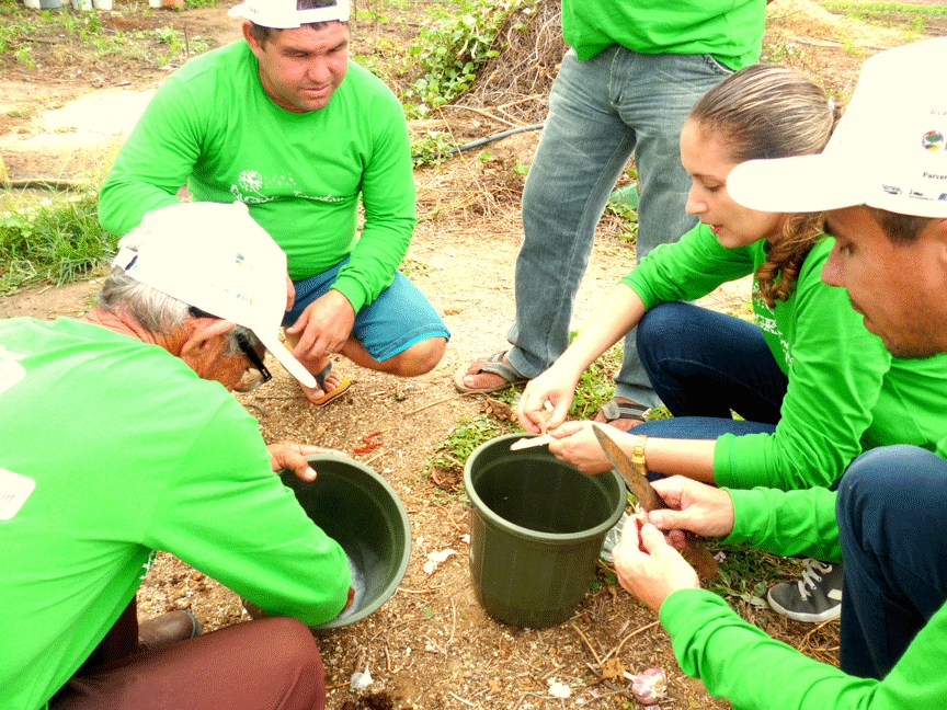 Projeto Inovando em Agroecologia