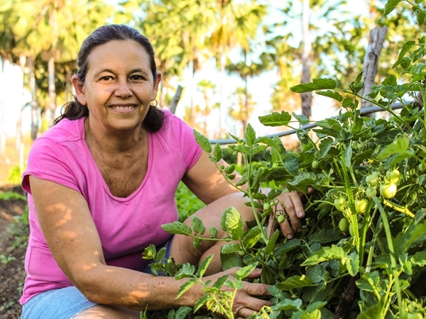 Sem Feminismo não há Agroecologia!