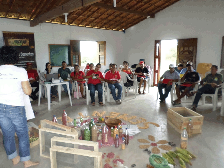 Capacitação Territorial do Programa Sementes do Semiárido reúne agricultores e agricultoras em Riacho do Meio