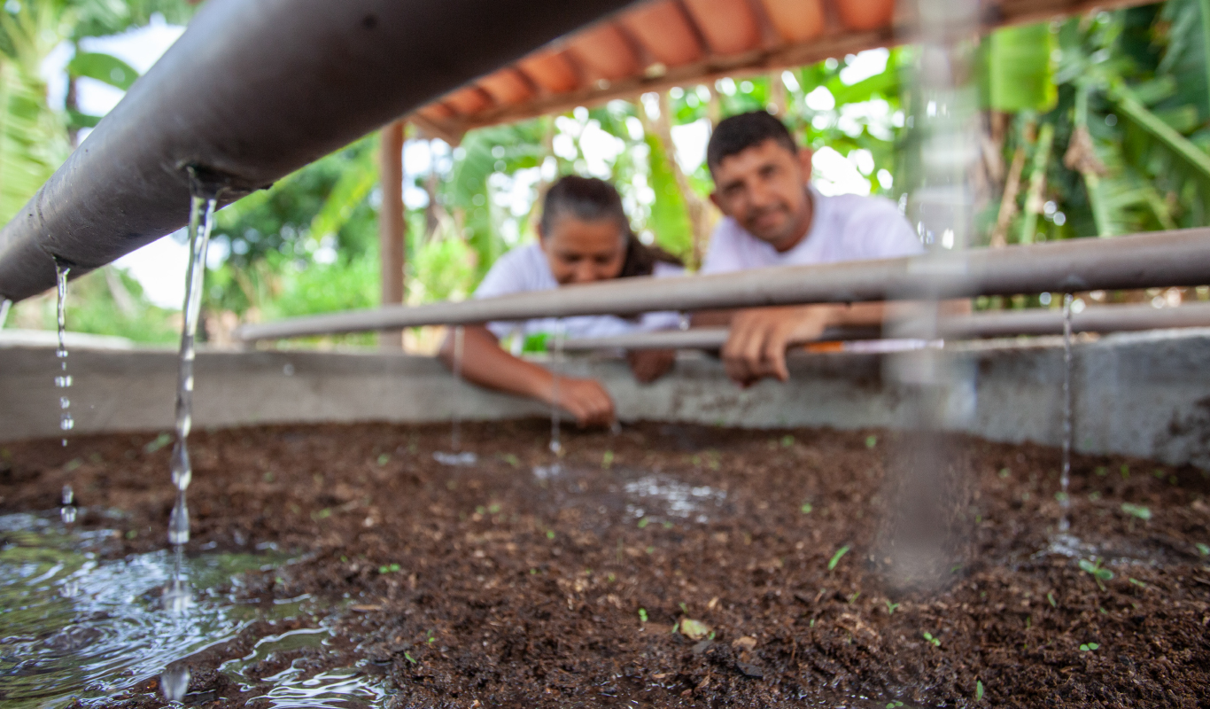 Reuso de Águas Cinzas / Tecnologia Social, Transformando o Semiárido