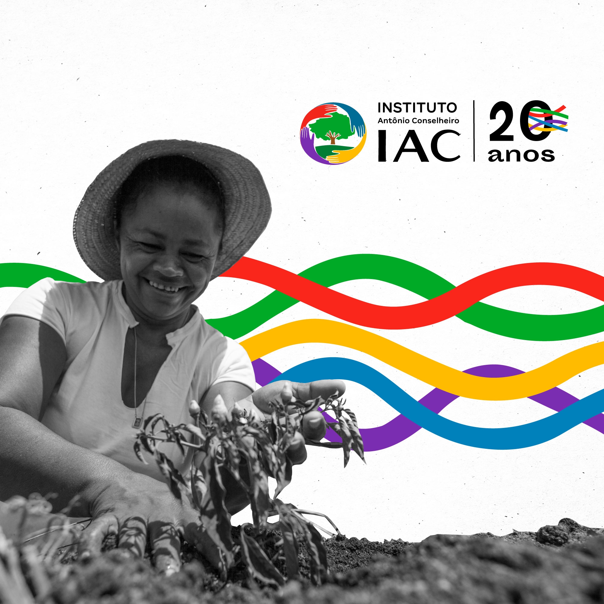 IAC, há 20 anos Plantando Agroecologia e Cultivando Territórios de Saberes no Semiárido Cearense