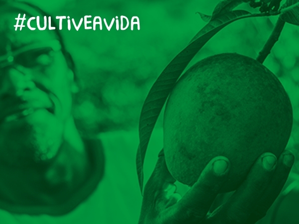 CULTIVE A VIDA! DIA MUNDIAL DO MEIO AMBIENTE